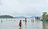 parboaboa